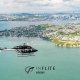 Auckland by Helicopter